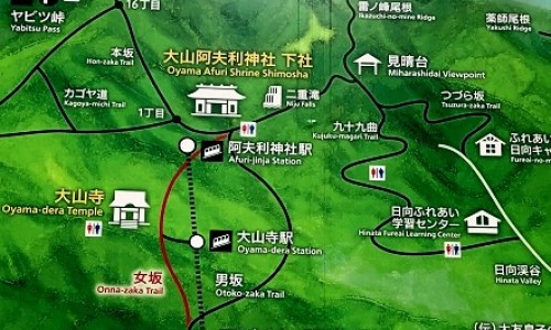 三华李子的功效与作用有哪些-三华李子的功效与作用网 - 网站提供三华李子的功效与作用小常识、三华李子的功效与作用禁忌