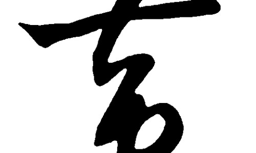 三华李子的功效与作用网 - 网站提供三华李子的功效与作用小常识、三华李子的功效与作用禁忌