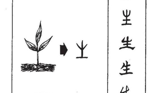 三华李子的功效与作用禁忌-三华李子的功效与作用网 - 网站提供三华李子的功效与作用小常识、三华李子的功效与作用禁忌